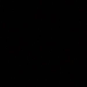 Meet your Posher, Rubi